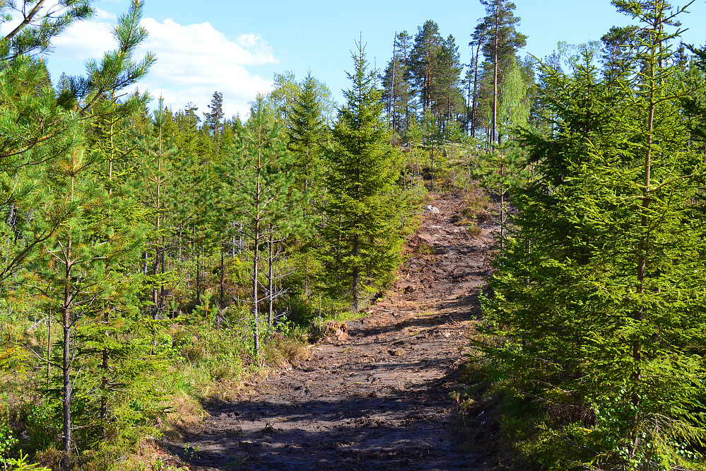 Traktorveien 