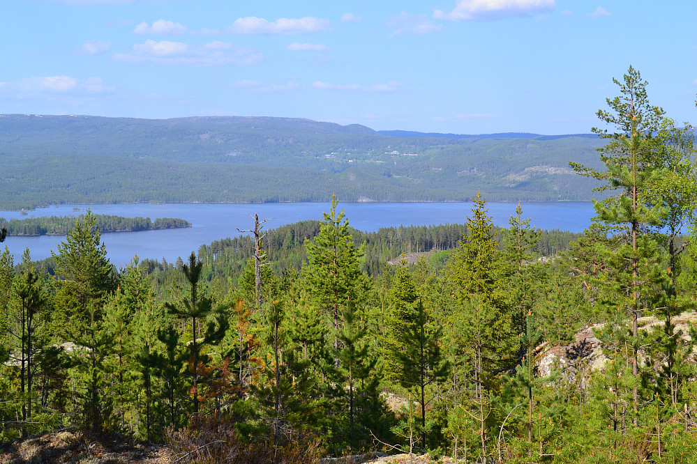 Utsikt fra Veståsen