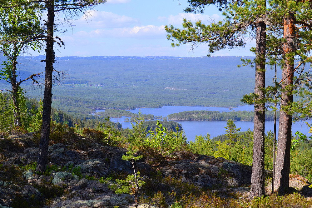 Fra Veståsen