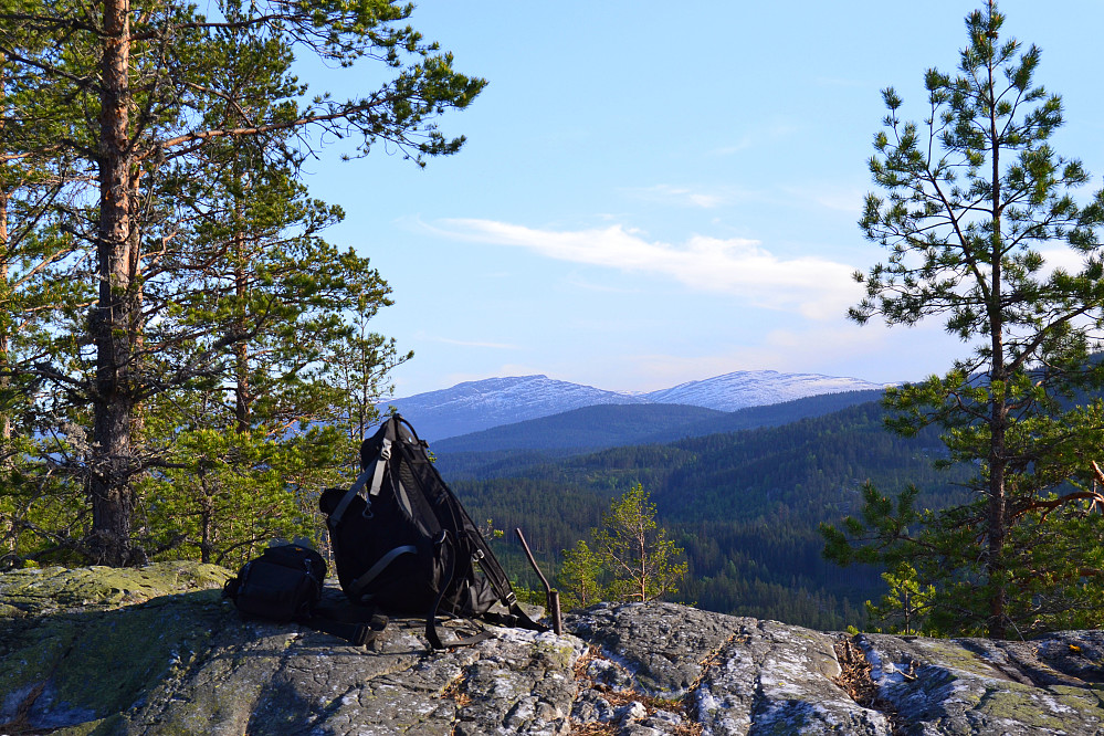 Toppunktet på Nattejuv