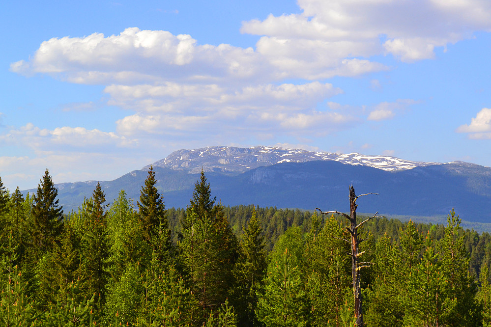 Blefjell fra Veståsen
