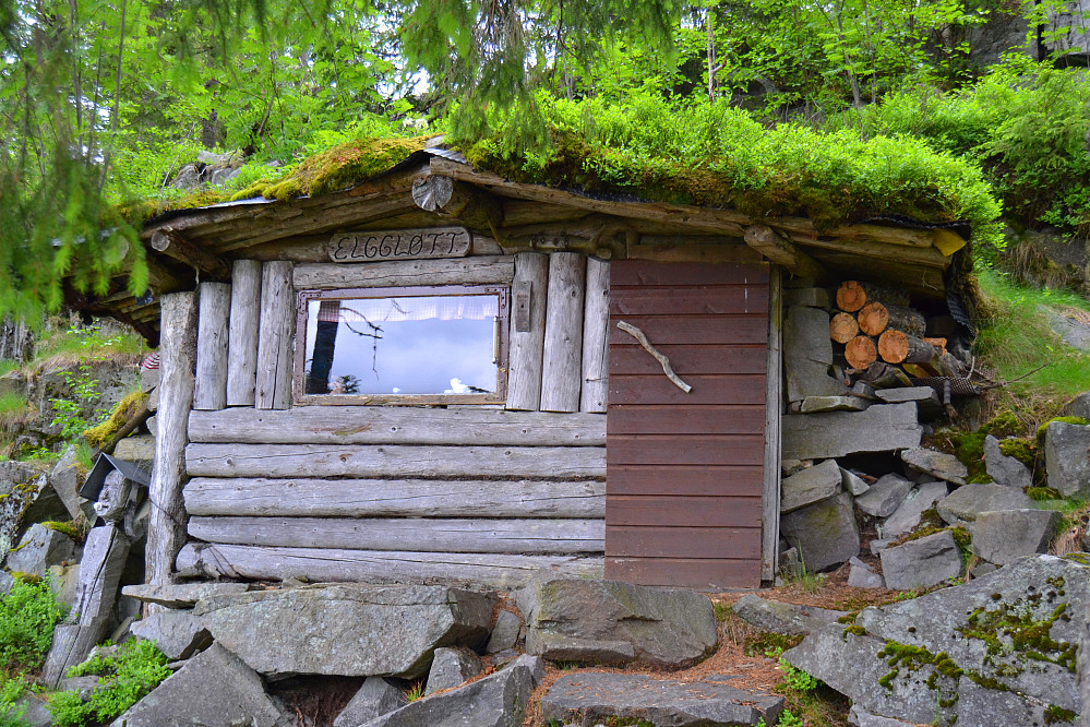 Elggløtt