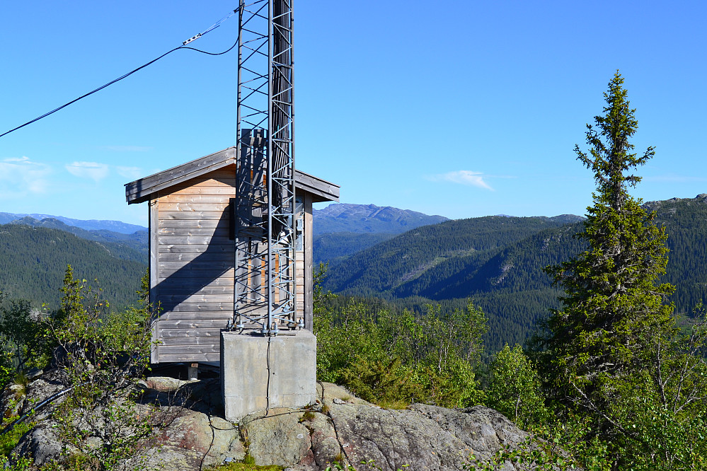 Mast på toppen