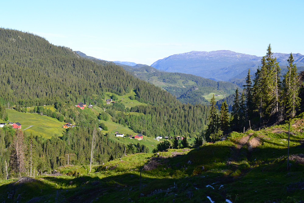 Nyervervet utsikt oppe fra hogsfeltet.