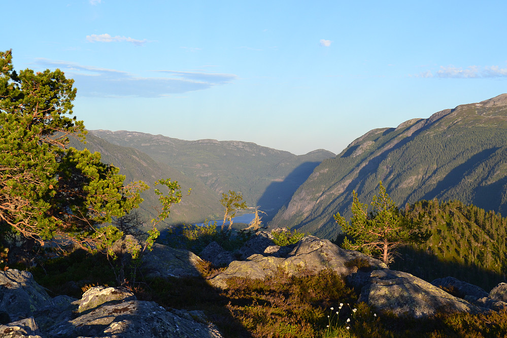 Fra fortoppen