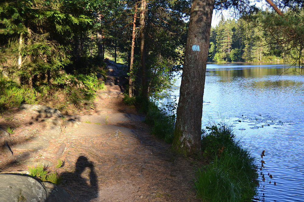 Hvitsteintjenn