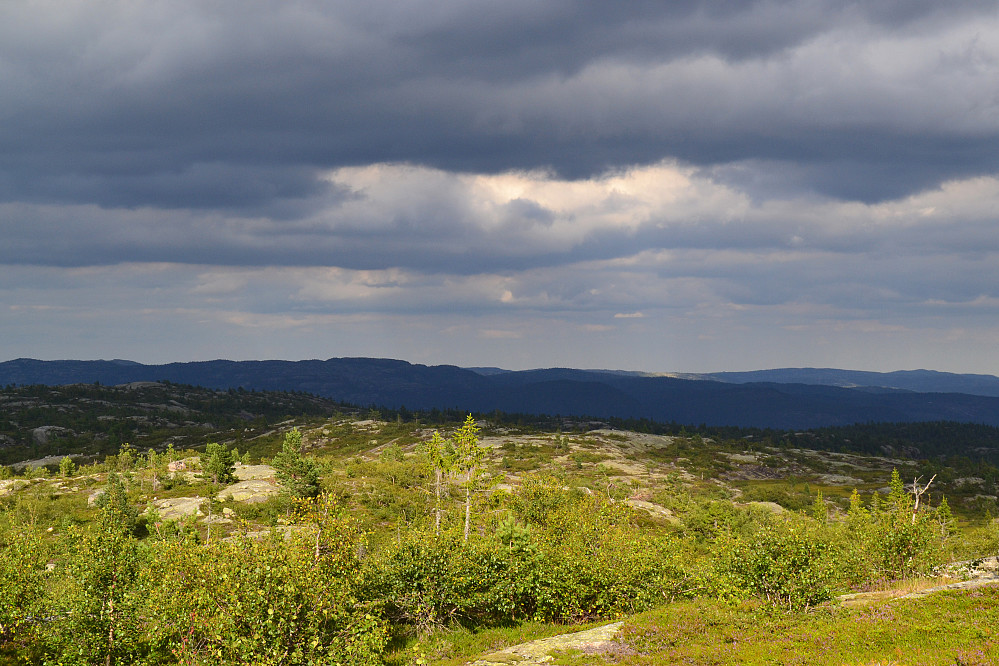 Fra Ervedalsfjellet
