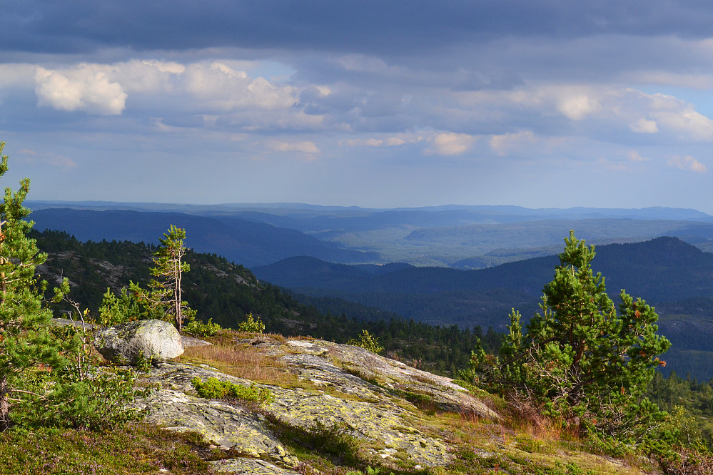 Fra Ervedalsfjellet
