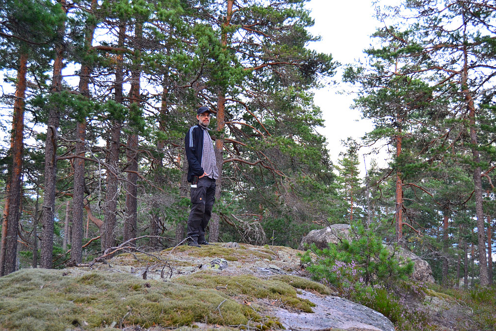 Einangfjellet