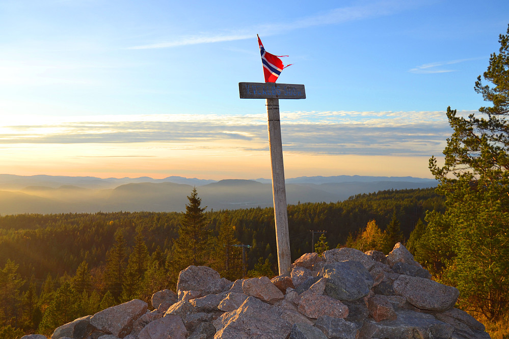 Vealøs