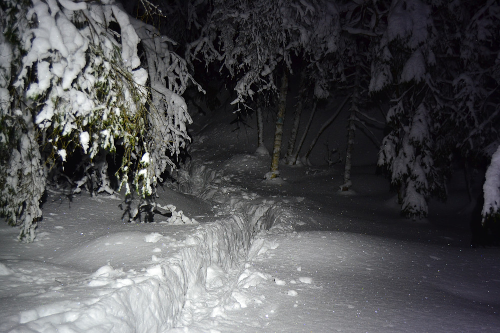 løype