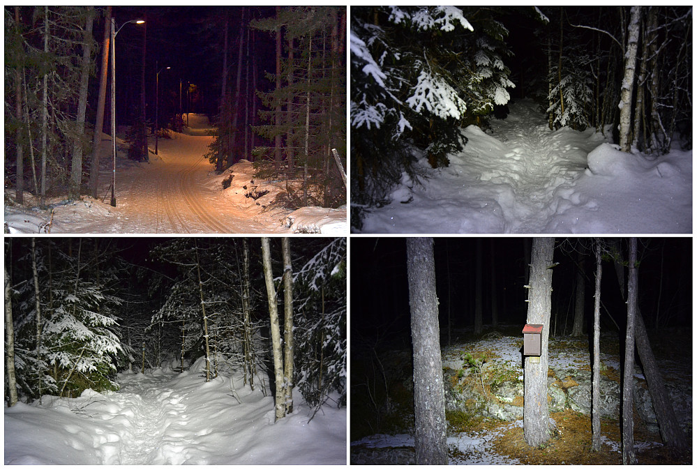 Kaperkollen 10.02.2025