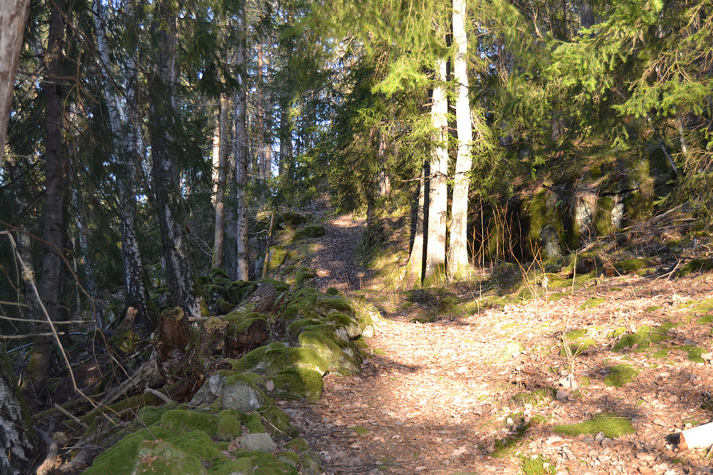 Oppstigningen mot vestre Gumøyknute fra nordsiden
