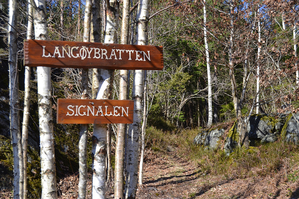 Her starten stien opp til Langøybratten 