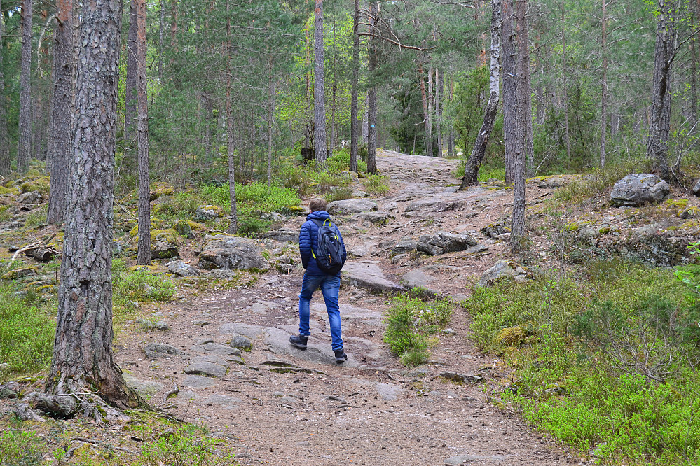 Mot Tinnskollen