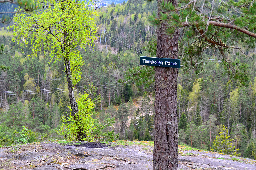 Tinnskollen