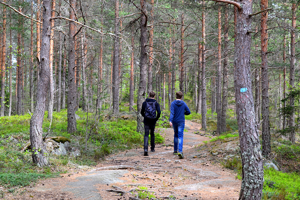 Lille Ulvskollen