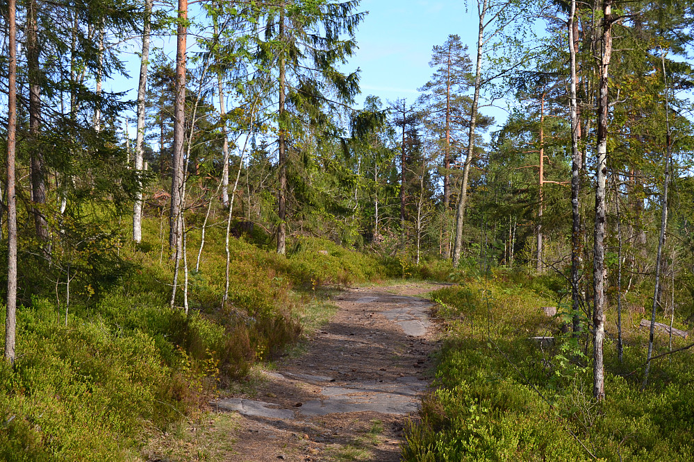 Solumsmarka