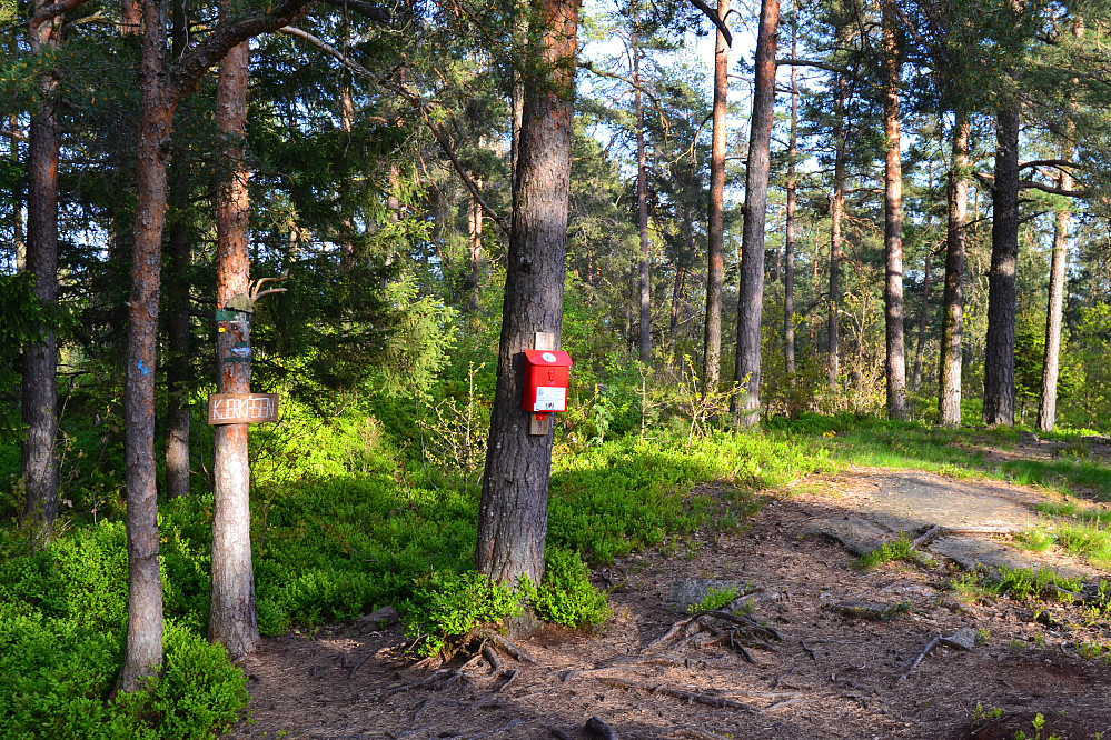 Kjerkeåsen