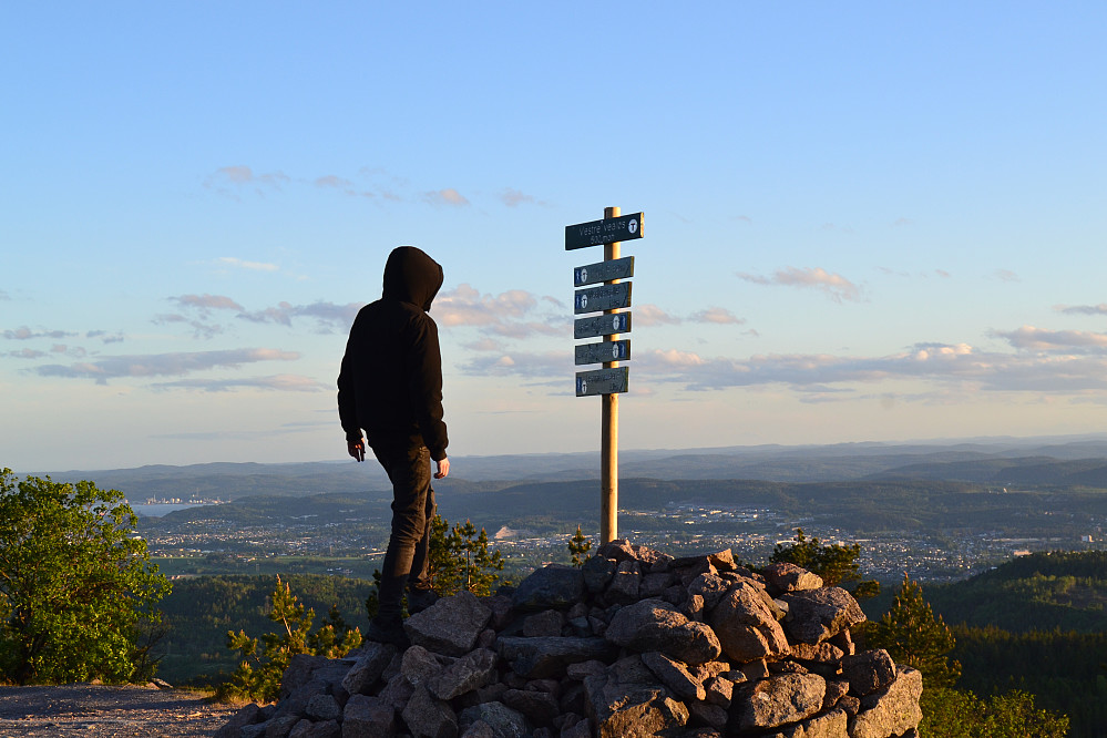 Vestre Vealøs