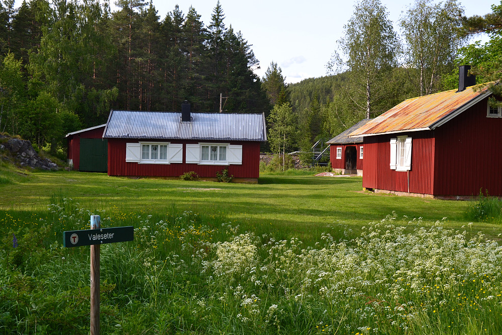 Valeseter