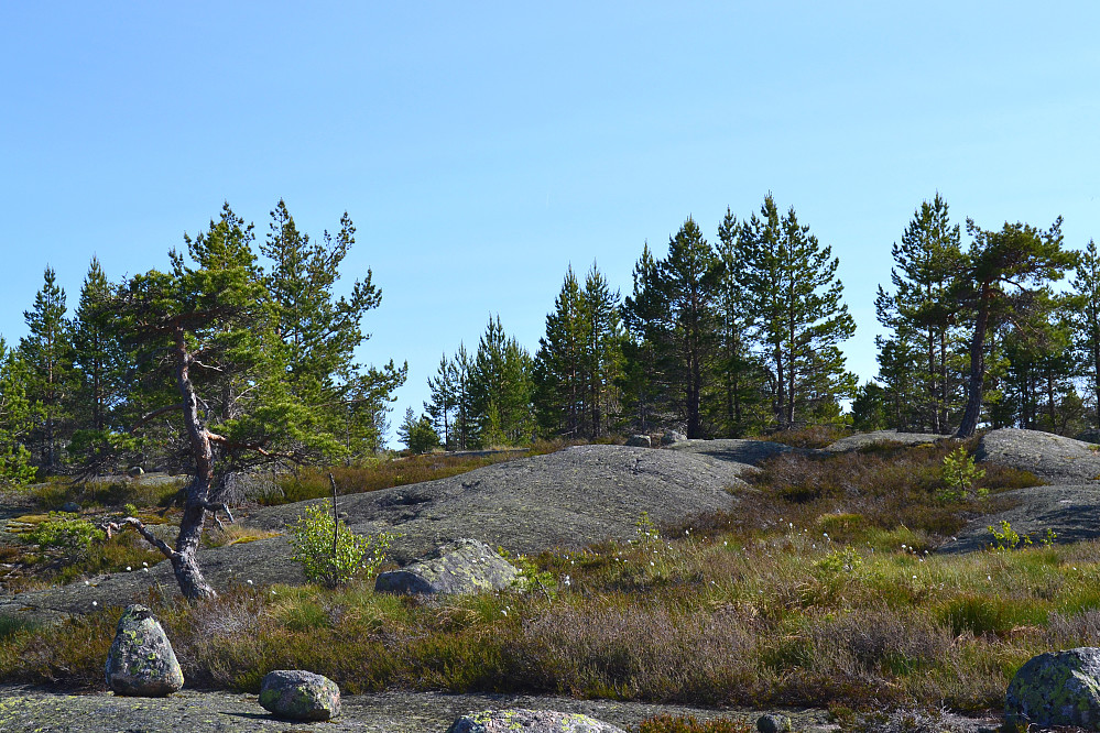 Fra toppområdet på Østeråfjellet.