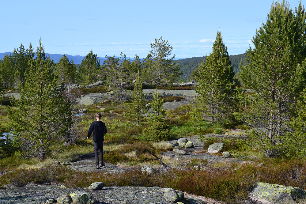 Fra toppområdet på Østeråfjellet