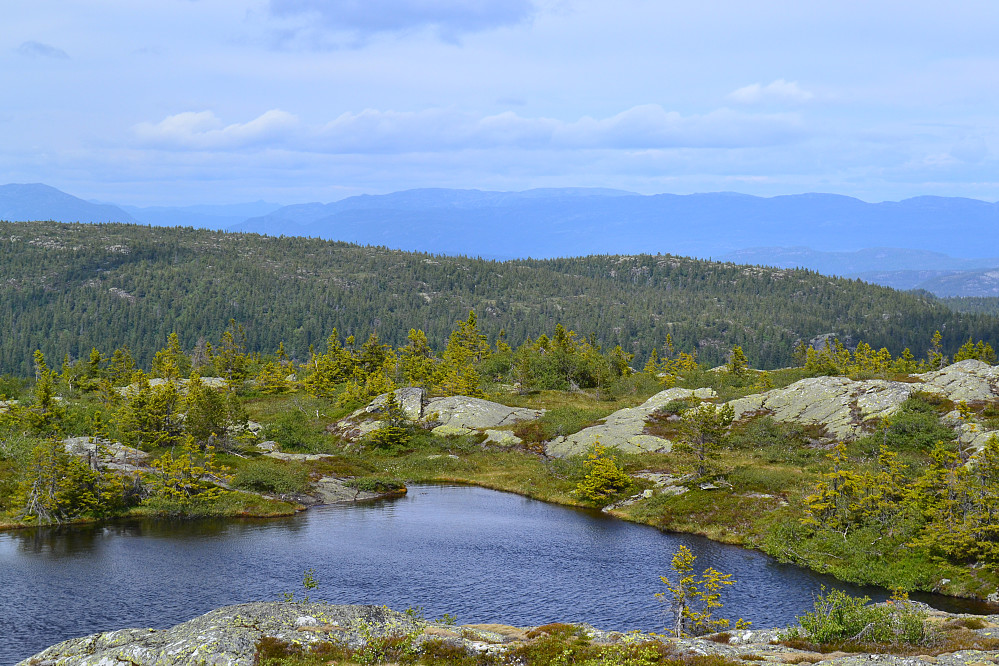 Fra Røglefjell