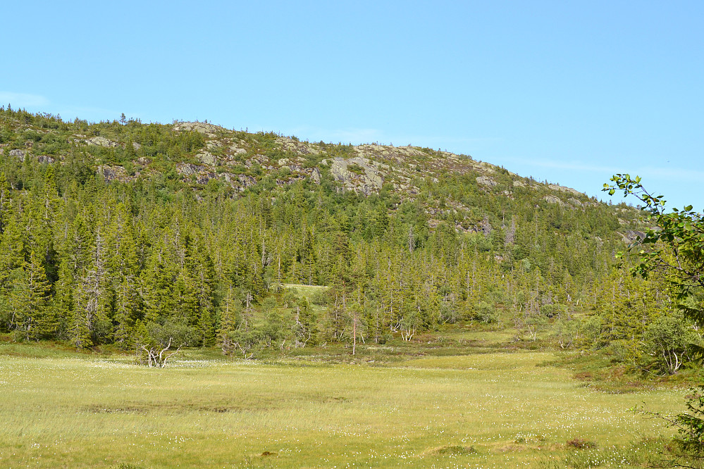 Fra myrene ved Langetjenn mot Røglefjell
