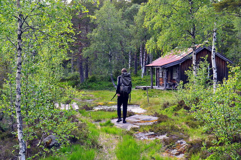 Ved Lindtjørn