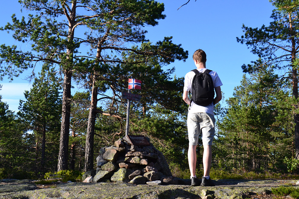 Toppvarde