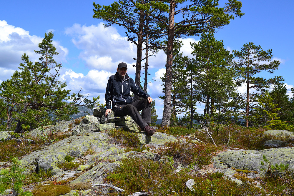 Toppen av Skitnebufjellet