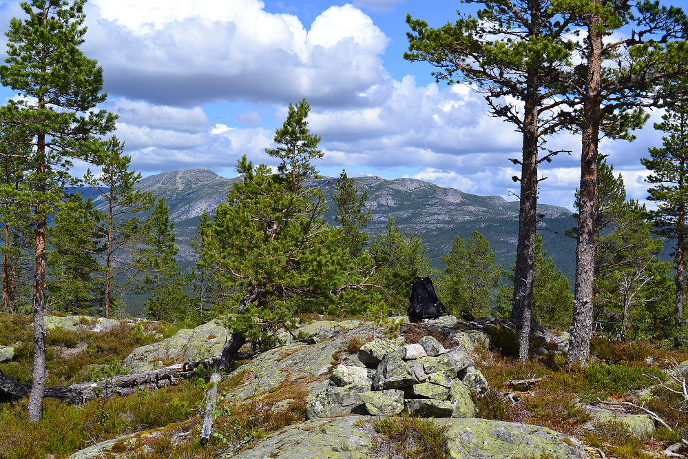 Toppen av Skitnebufjellet