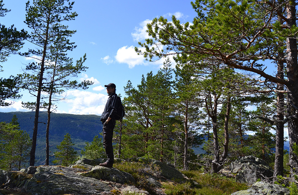 Fra toppen av nordre Luseloft