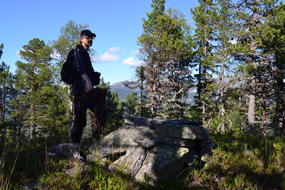 Dugurdsmålnuten toppunkt