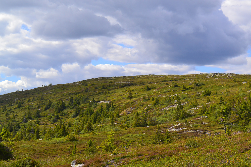 Mot Tjønnefjell 