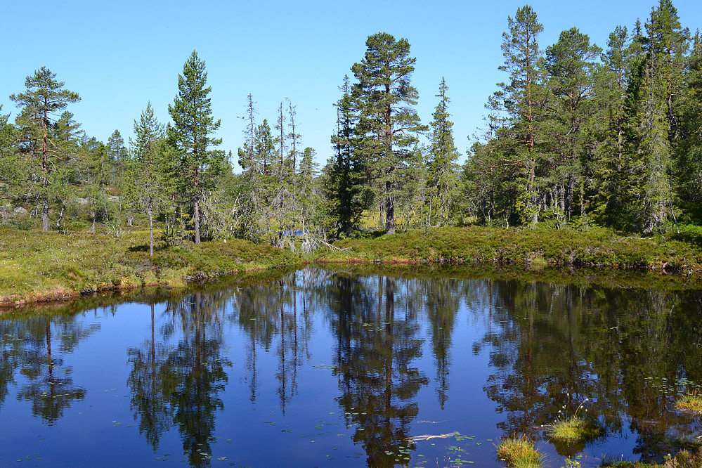 Ligger to idylliske tjern rett under toppen av Håsomfjellet