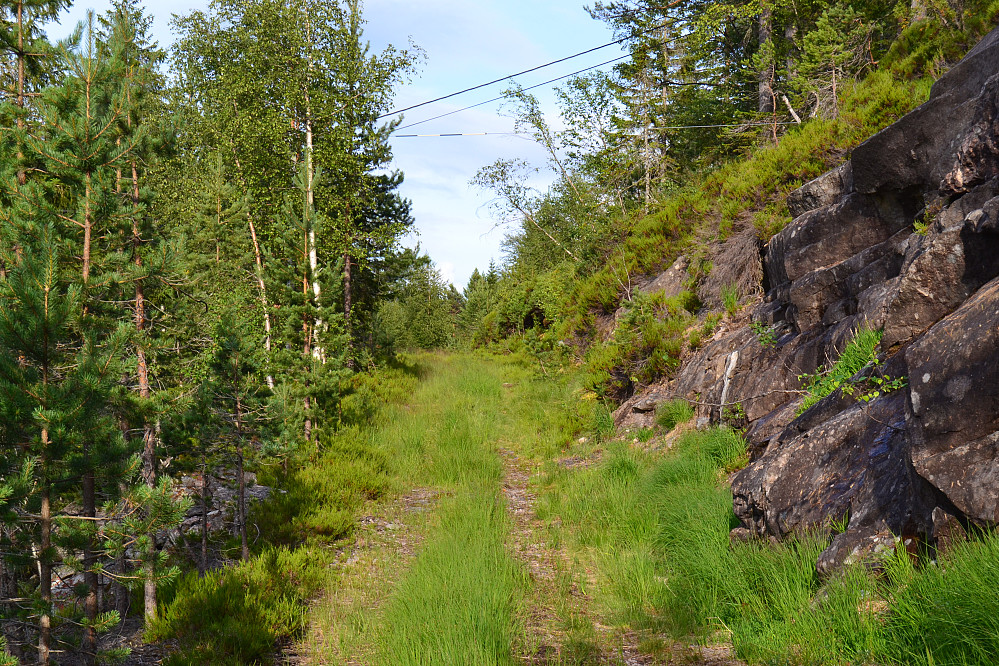 Fin traktorvei mot toppen
