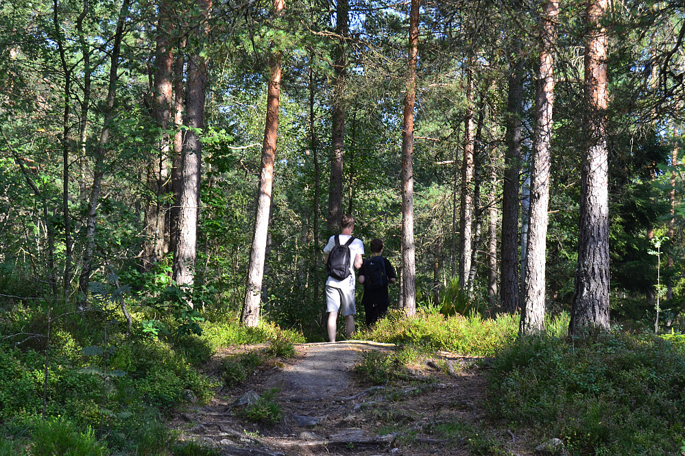 Solumsmarka