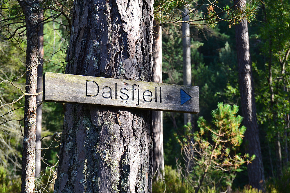 Skilt