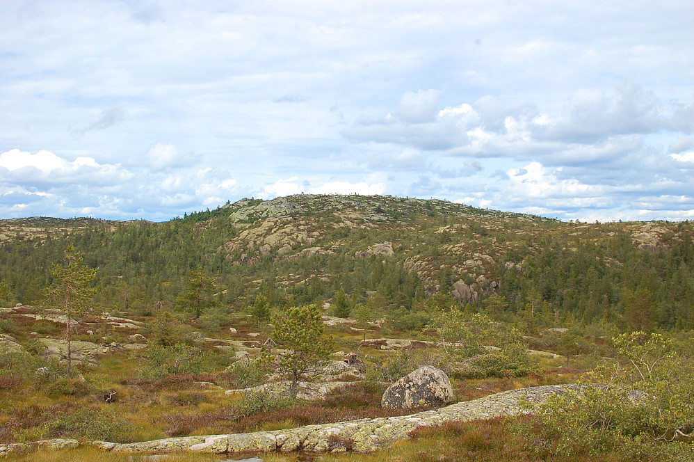 Grønlivarden i sikte