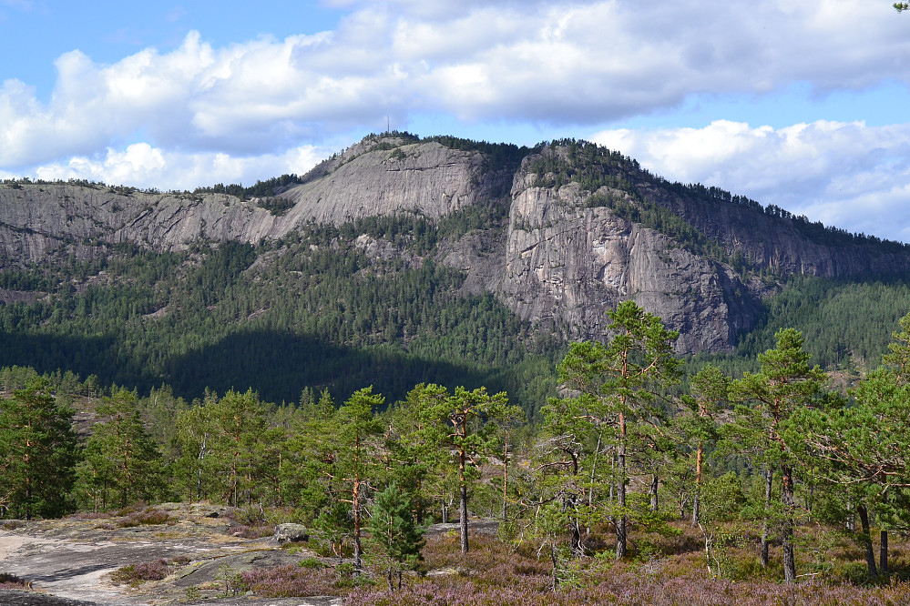 Dalsnipen sett fra Øyfjellet