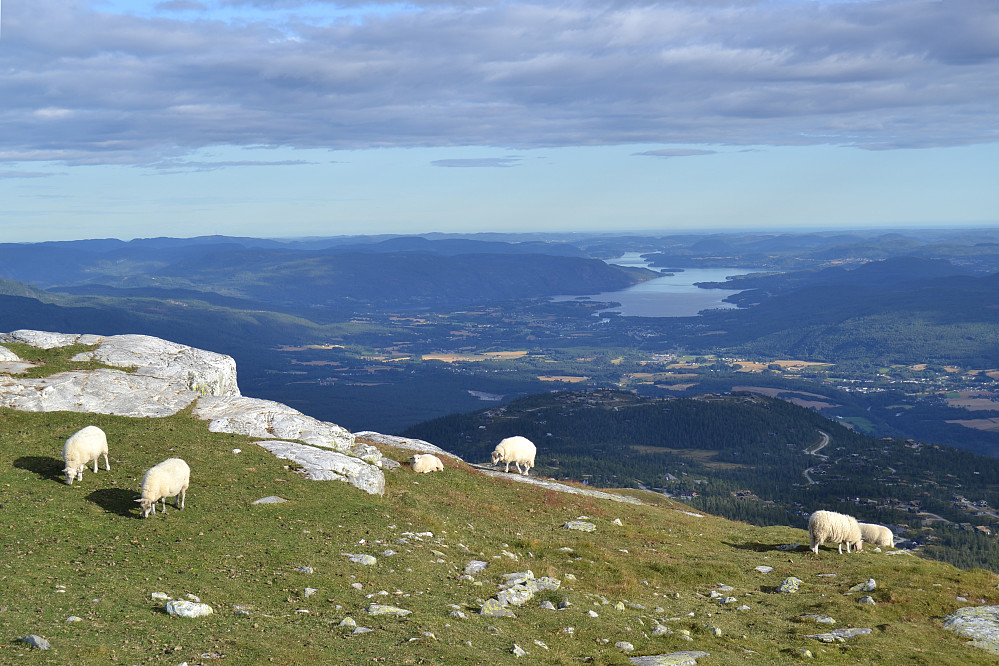Fra Gleksefjell