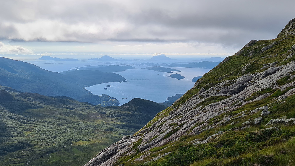 Høydalsnipa