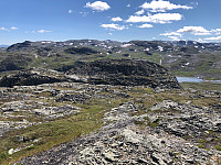 Gråbein_20210715_60f05392d12d3.jpg