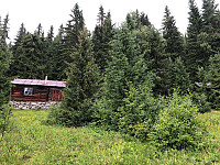 Gråbein_20210729_6102c7ef12c70.jpg