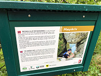 Gråbein_20210729_6102c7f251b28.jpg