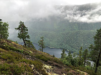 Gråbein_20210729_6102c7f42313e.jpg