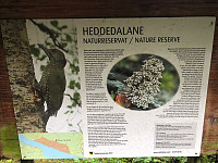 Gråbein_20210729_6102c7f9871ff.jpg