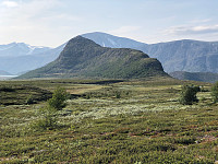 Gråbein_20220719_62d6e4c752b50.jpg